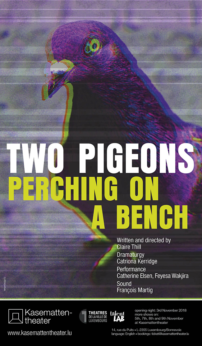 Poster Two pigeons perching on a bench