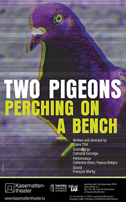 Two Pigeons perching on a bench by Claire Thill